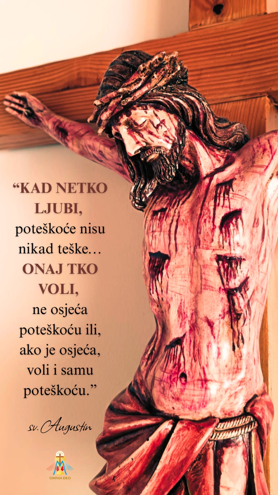 WhatsApp Image 2026 03 13 at 17.06.27